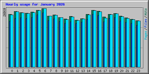 Hourly usage for January 2026