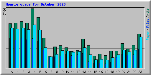 Hourly usage for October 2026